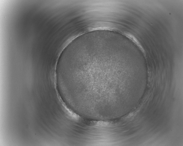 X0000070860890200606302043