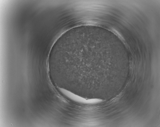 X0000070860891200606302043