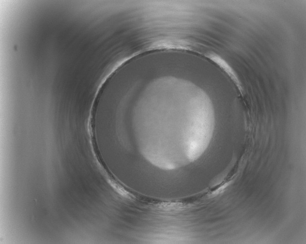 X0000070860893200606302043