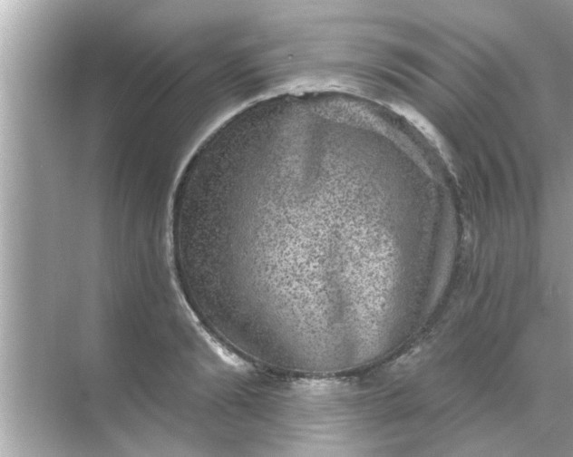 X0000070860894200606302043