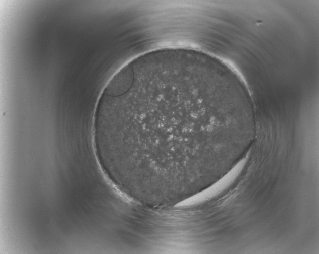 X0000070860895200606302043