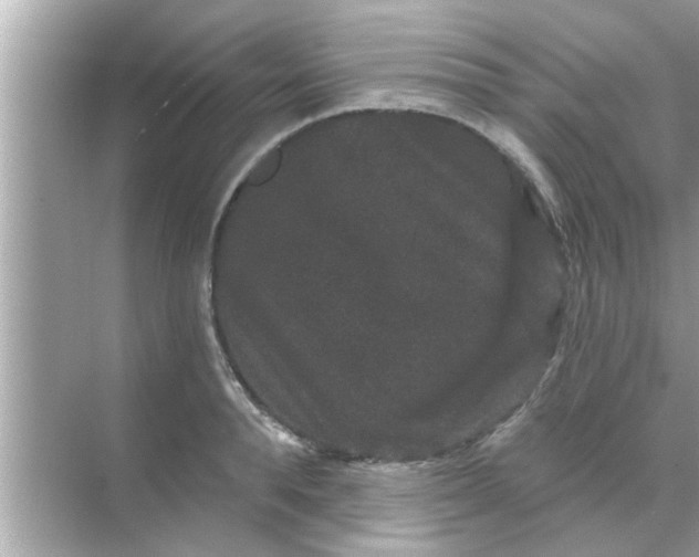 X0000070860896200606302043