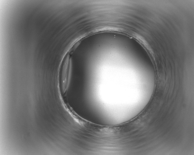 X0000070860898200606302043