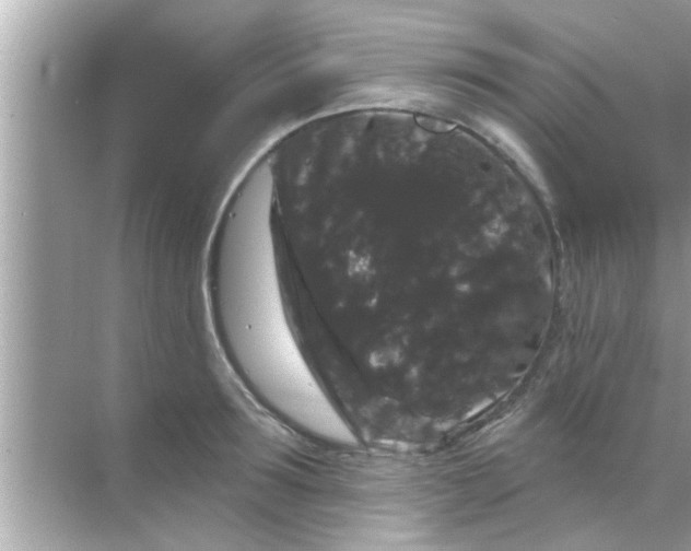 X0000070860899200606302043