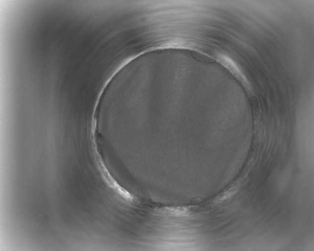 X0000070860900200606302043