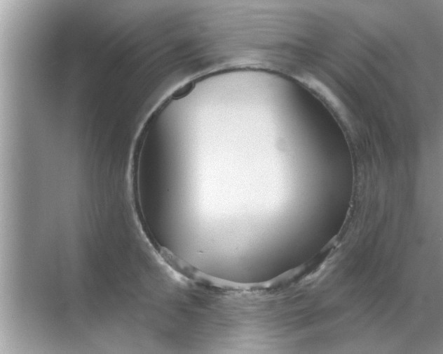 X0000070860902200606302043