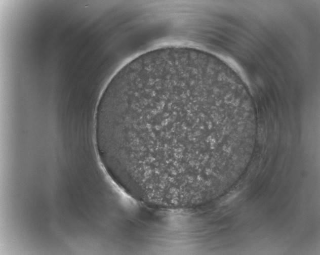 X0000070860903200606302043