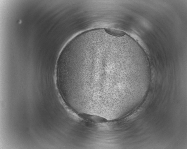 X0000070860904200606302043