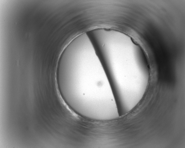 X0000070860906200606302043