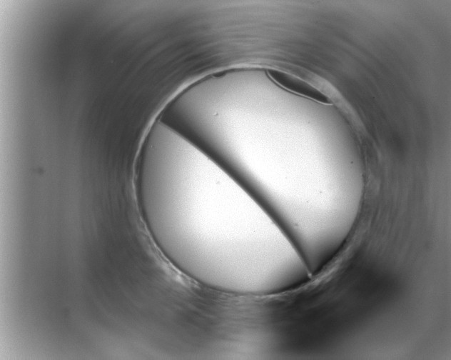 X0000070860908200606302042