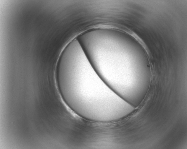 X0000070860909200606302042