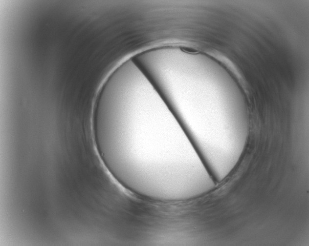 X0000070860910200606302042