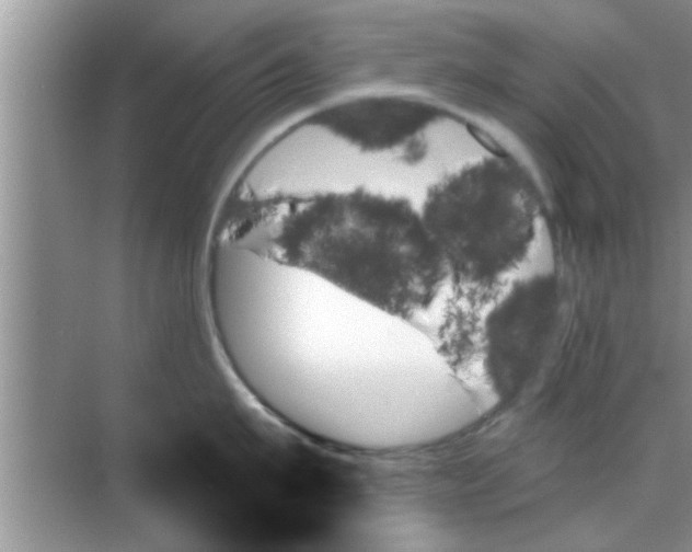 X0000070860911200606302042