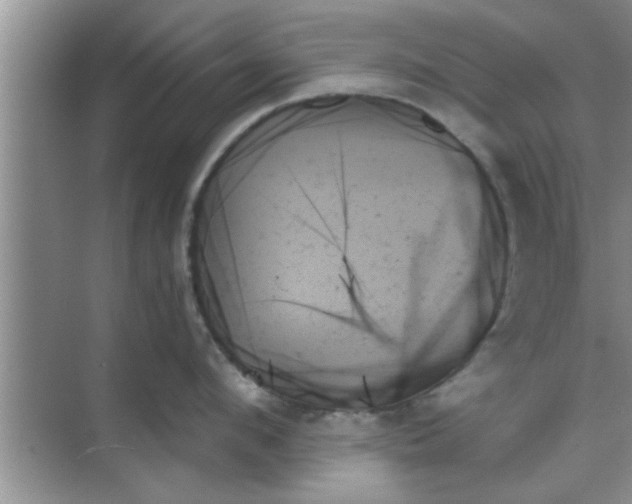 X0000070860912200606302042