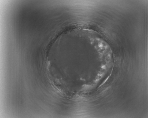 X0000070860913200606302042