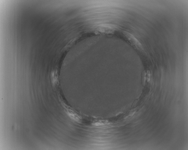 X0000070860915200606302042