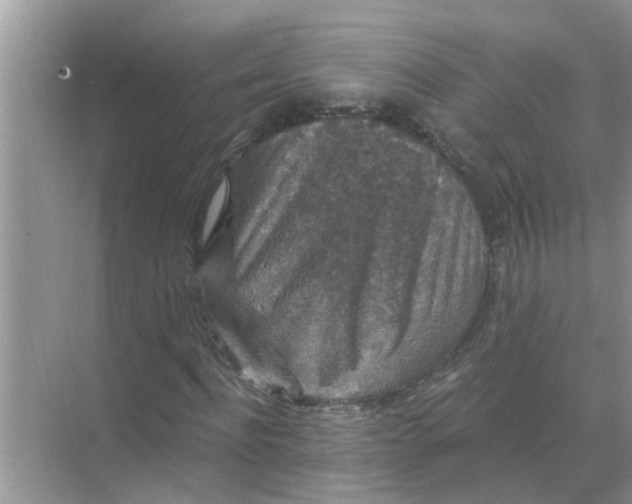 X0000070860916200606302042