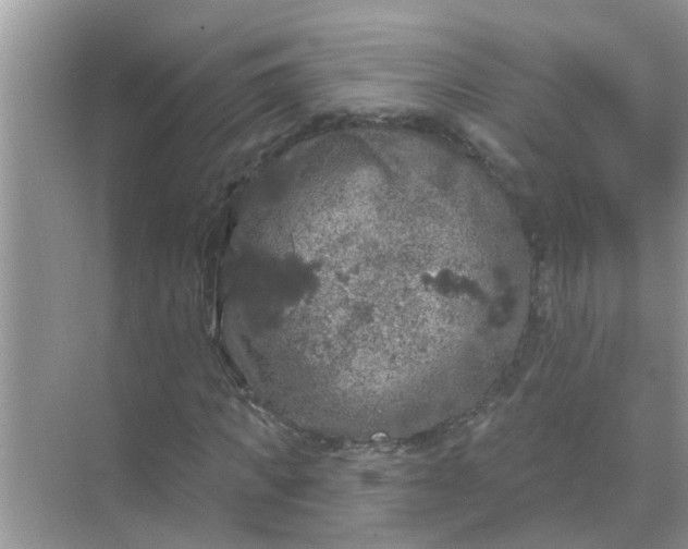 X0000070860917200606302042