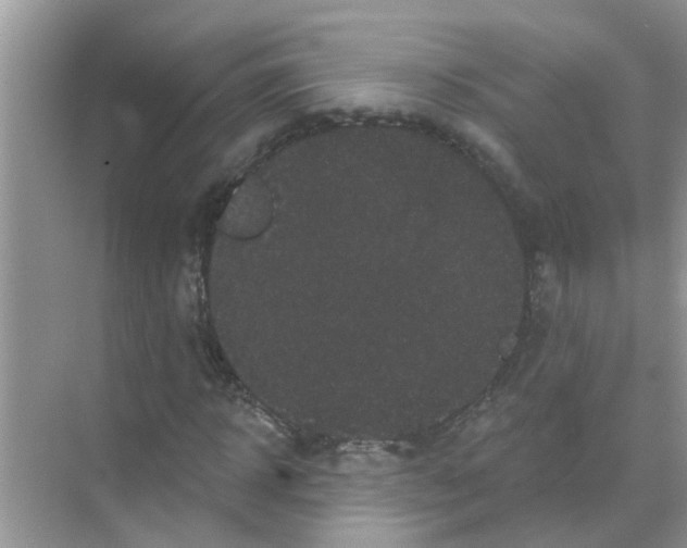 X0000070860918200606302042