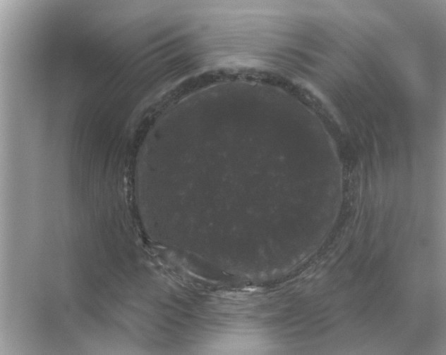 X0000070860919200606302042