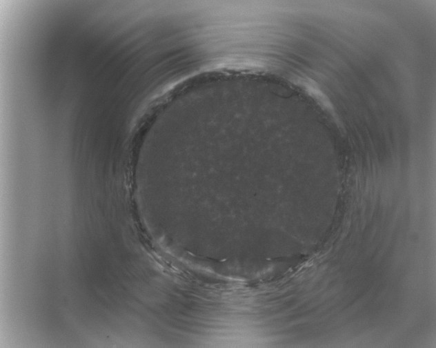 X0000070860920200606302042