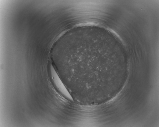 X0000070860921200606302042