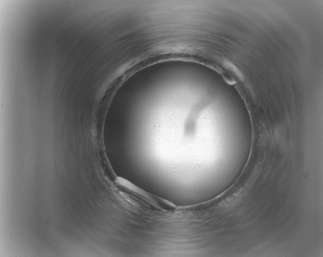 X0000070860922200606302042