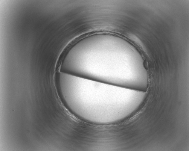 X0000070860924200606302042