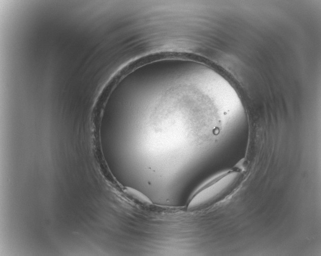 X0000070860926200606302042