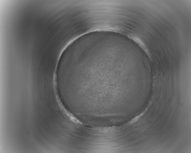 X0000070860928200606302042