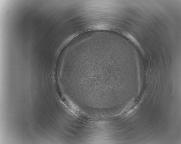 X0000070860930200606302042