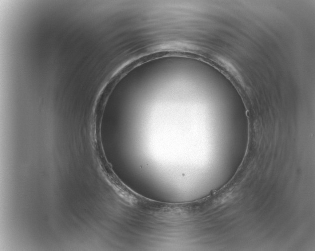 X0000070860931200606302042