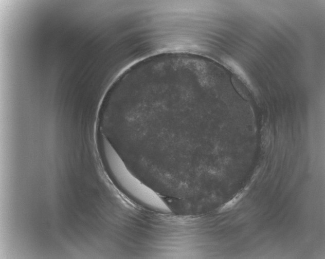 X0000070860932200606302042