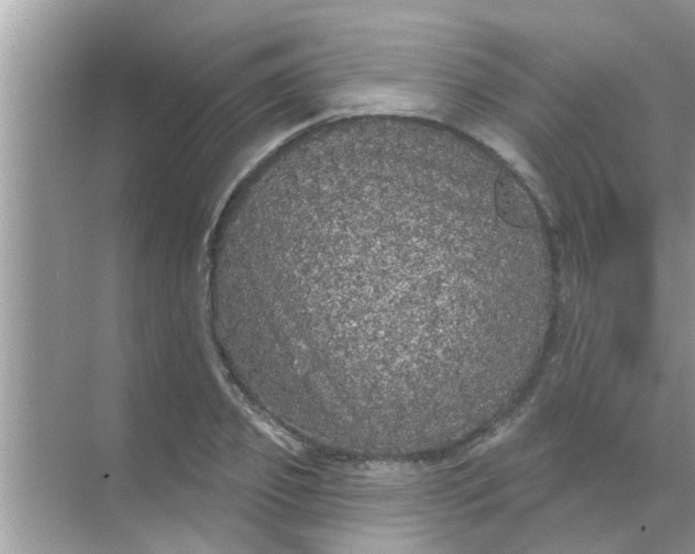 X0000070860933200606302042