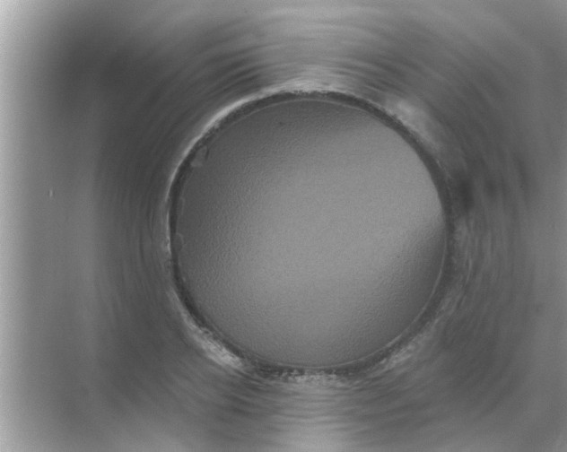 X0000070860934200606302042