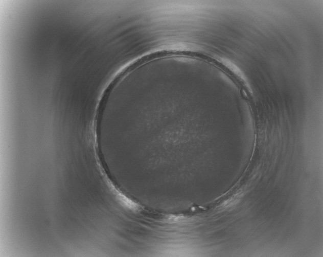 X0000070860935200606302042