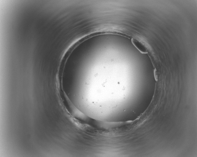 X0000070860936200606302042