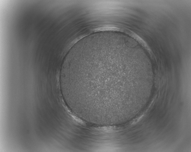 X0000070860937200606302042