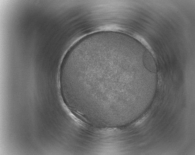 X0000070860939200606302042