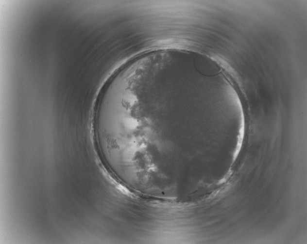 X0000070860941200606302042