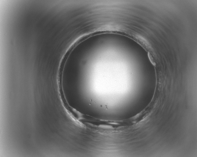 X0000070860942200606302042