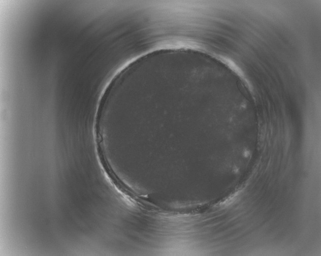 X0000070860943200606302042