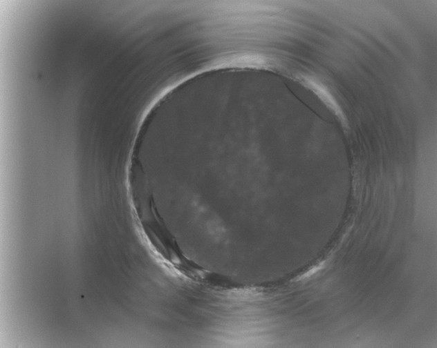 X0000070860944200606302042