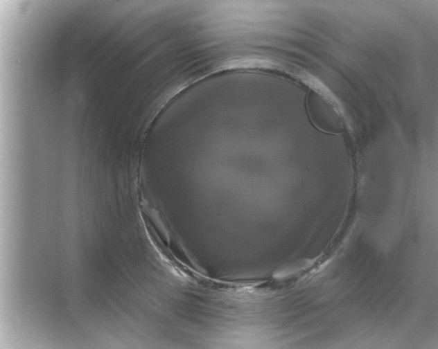 X0000070860945200606302042