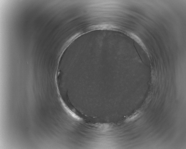 X0000070860946200606302042