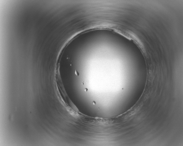 X0000070860948200606302042