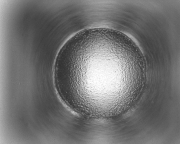 X0000070860949200606302042