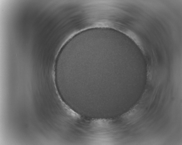 X0000070860950200606302042