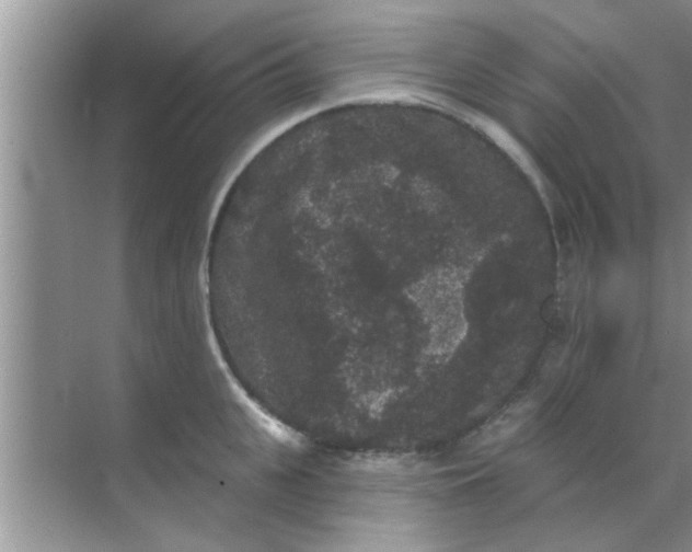 X0000070860951200606302042