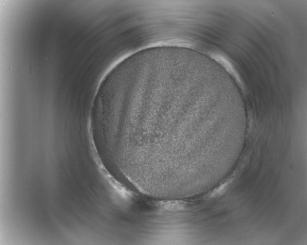 X0000070860952200606302042